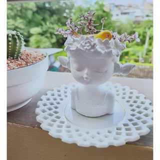 กระถางแคคตัส ราคาส่ง