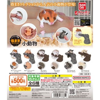 กาชาปองแหวน สัตว์ แฮมสเตอร์ เม่น ชูก้าไกรเดอร์ Ikimono Encyclopedia Finger Maki Collection Small Animals ของใหม่พร้อมส่ง