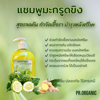 แชมพูมะกรูดขิง สูตรกำจัดเชื้อรา คุมมัน บำรุงหนังศรีษะ ขนาด500ml.