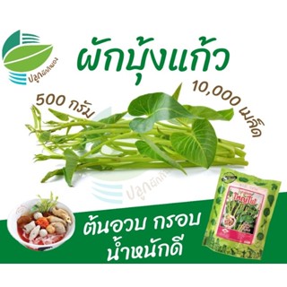 ผักบุ้งแก้ว ใหญ่โฟ ขนาด 500 กรัม ตรารถถัง