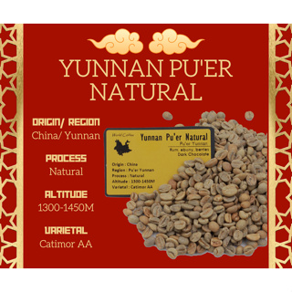 พร้อมส่ง เมล็ดกาแฟดิบ Yunnan Pu’er Natural process ขนาด 1kg. / เมล็ดกาแฟนอก/ เมล็ดกาแฟสาร ยูนนาน