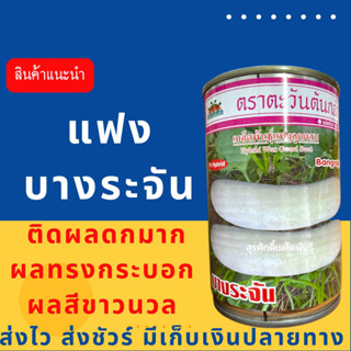 (ของแท้ ส่งไว) แฟง บางระจัน 100 กรัม