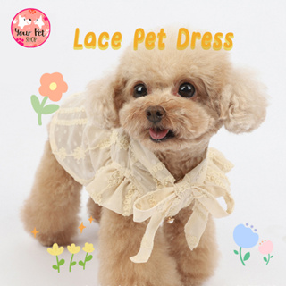 เดรสปักลูกไม้ของสัตว์เลี้ยง เดรสหมาLace Pet Dress ชุดหมา ชุดแมว เสื้อสุนัข