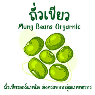 ถั่วเขียว 500กรัม ออร์แกนิค สูญญากาศ ใหม่ เพาะงอก mungbean huglamoolfarm