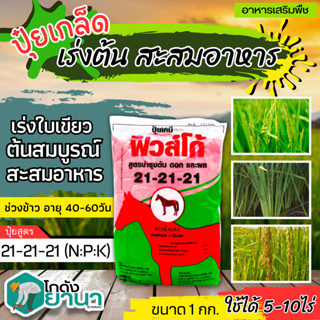 🌾 21-21-21 (ปุ๋ยเกล็ดฟิวส์โก้) ขนาด 1กิโลกรัม เร่งงาม ติดดอก ออกผล  ฟื้นต้น สร้างเนื้อ เพิ่มแป้ง