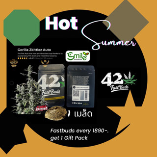 Fastbuds Gift Pack - Not For Sale