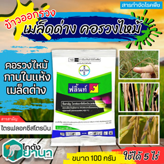 🌾 ฟลิ้นท์ (ไตรฟลอกซีสโตรบิน) ขนาด 100กรัม ป้องกันและกำจัดโรคพืช