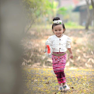ชุดพื้นเมือง เสื้อแขนตุ๊กตา ซิ่นผ้าฝ้ายพิมพ์ลายคุณภาพดี เนื้อผ้าหนา (ราคาเฉพาะชุด)