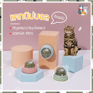 I&amp;CAT แคทนิปติดผนัง กัญชาแมว ขนาด 5x5x4 cm แคทนิปบอล ขนมแมว ของเล่นแมวเลีย แคทนิปแบบก้อน ทำให้น้องเหมียวรู้สึกผ่อนคลาย