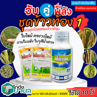 🌾 ชุดข้าวท้อง1 สโตรบิน+ไตรไซคลาโซล ขนาด 500ซีซี+100กรัมx2ซอง ป้องกันโรคเมล็ดด่าง ใบไหม้ คอรวงไหม