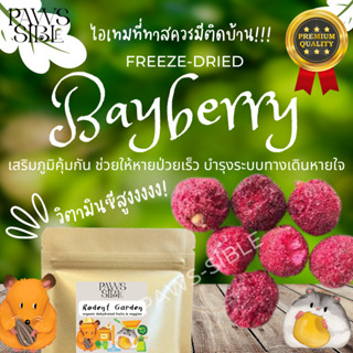 [Paws-sible] Rodent Garden: Freeze dried Bayberry อาหารแฮมสเตอร์ อาหารแฮมเตอร์ ขนมกระรอก ขนมกระต่าย ขนมแกสบี้ ขนมชูการ์