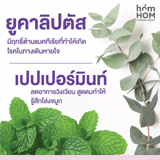 สติกเกอร์หอมแดง (HOMHOM SHALLOT PAD) น้ำมันหอมระเหย 100%🍃 1 กล่อง