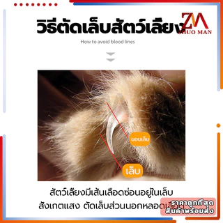 ตัดเล็บแมว กรรไกรตัดเล็บสัตว์เลี้ยง พร้อมตะไบ ตัดเล็บสุนัข ที่ตัดเล็บแมว มีให้เลือก 2 ขนาด ใช้ได้ทั้งน้องแมวและน้องหมา