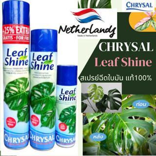 Chrysal Leaf shine คริสซอล สเปรย์ฉีดใบเงา ฉีดใบมัน เคลือบเงาใบไม้ ขนาด 250ml. 600ml.