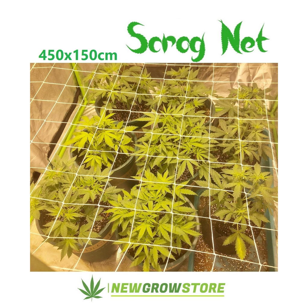 Scrog Net 150x450cm ตาข่าย ปลูกต้นไม้ เชือกไนล่อน 450x150 cm ขนาดใหญ่ มีหลายขนาด ตาข่ายปลูกต้นไม้ - รูปที่ 2