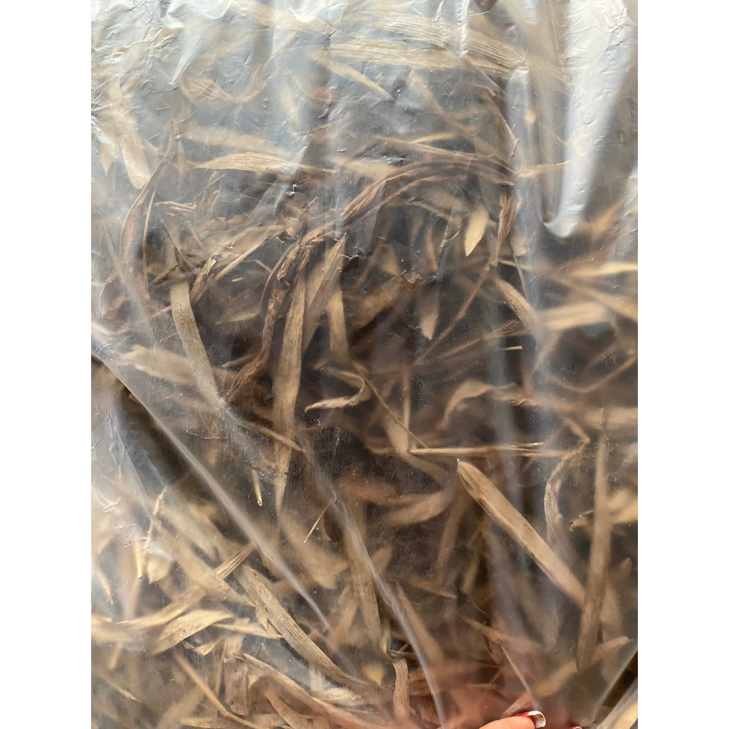 ใบไผ่แห้ง 500กรัม 19 บาท  ช่วยเพิ่มความต้านทานต่อความแห้งแล้งของพืช ปรุงดิน ใส่ต้นไม้ได้ ผสมดินได้ปล