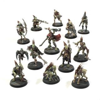 Warhammer 40k : Kill Team : Kroot Farstalker Kinband