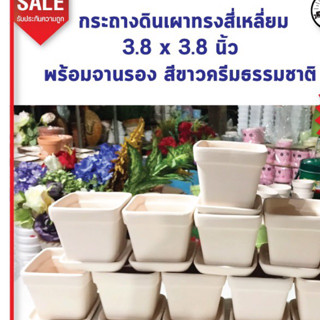 กระถางดินเผาสี่เหลี่ยม 3.8x3.8 นิ้ว พร้อมจานรอง สีขาวครีม 12 ชุด 219ช