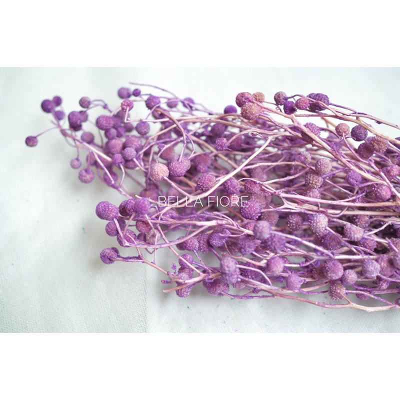 ดอกไม้แห้ง ดอกสาคูทิพย์ พร้อมส่งจากกทม เลยค่ะ ราคากำละ 85 บาท มีให้เลือกหลายสีนะคะ - รูปที่ 6