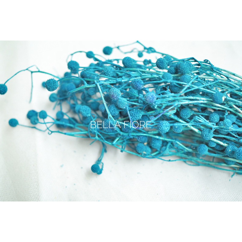 ดอกไม้แห้ง ดอกสาคูทิพย์ พร้อมส่งจากกทม เลยค่ะ ราคากำละ 85 บาท มีให้เลือกหลายสีนะคะ - รูปที่ 5