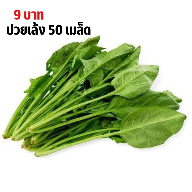 ถูกสุดคุ้มปวยเล้ง บรรจุ 50 เมล็ด