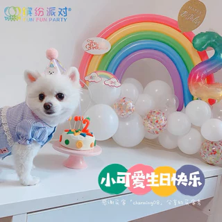 ร้านไทย เซ็ทลูกโป่งวันเกิด 🌈เซ็ทรุ้งกินน้ำ เซ็ทเรนโบว์+ลูกโป่งสีขาว