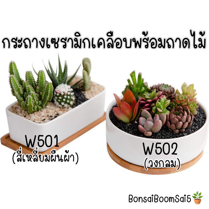 (W501-W502) กระถางเซรามิกเคลือบ กระถางไม้จิ๋ว สำหรับจัดสวนถาด ใส่แคตตัส แบบสี่เหลี่ยมผืนผ้า ทรงวงกลมใหญ่