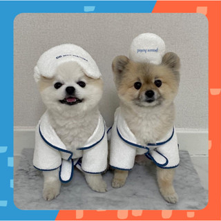 [🚚 พร้อมส่ง] ชุดคลุมอาบน้ำแมว Paws Hotel Bathrobe ชุดหมา ชุดสุนัข ชุดนอนแมว