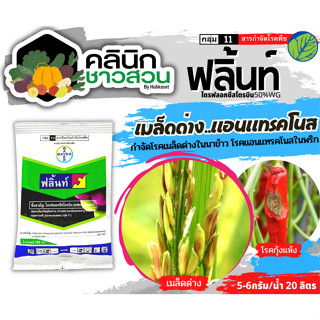 🥬 ฟลิ้นท์ (ไตรฟลอกซีสโตรบิน) บรรจุ 100กรัม ป้องกันและกำจัดโรคพืช