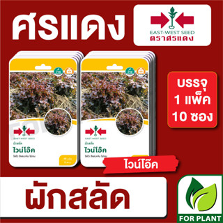 เมล็ดพันธุ์ผัก ผักซอง ผักสลัด ไวน์โอ๊ค F1 ตราศรแดง บรรจุแพ็คล่ะ 10 ซอง ราคา 230 บาท