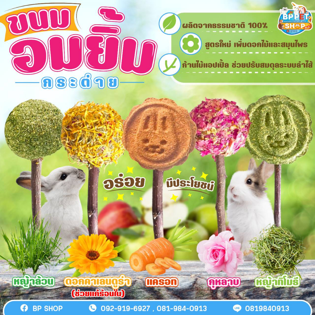 ขนมกระต่าย แกสบี้ แพรี่ด็อก ชินชิลล่า คุกกี้กระต่าย อมยิ้มกระต่าย ขนมสำหรับสัตว์ฟันแทะ ขนมกระต่าย