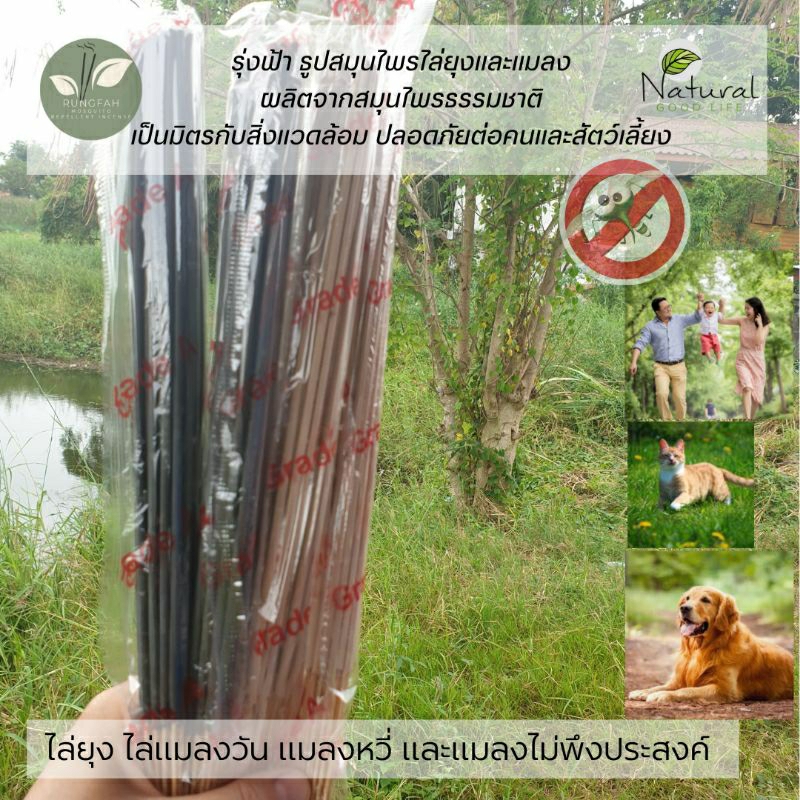 ธูปไล่ยุง (1ห่อ) ธูปไล่ยุง แมลงวัน แมลงหวี่ เป็นมิตรกับสิ่งแวดล้อม