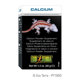 Exo Terra Calcium อาหารเสริม แคลเซียม สำหรับสัตว์เลื้อนคลานและสัตว์ครึ่งบกครึ่งน้ำ 40g มีสินค้าพร้อมส่งด่วนค่ะ