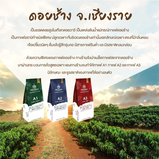 เมล็ดกาแฟดอยช้าง เมล็ดกาแฟอราบิก้า ARABICA100% สูตรคั่วกลาง A1 ให้ความหอมนุ่มเป็นพิเศษ ขนาด 250 g.