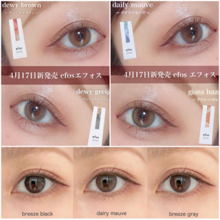 Contactlens คอนแทคเลนส์ญี่ปุ่น รายวัน efos