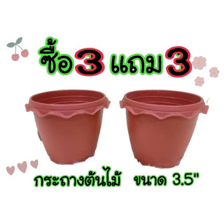 กระถาง ดอกไม้ ซื้อ 3 แถม 3 กระถางดอกไม้ 3.5 นิ้ว กระถางพลาสติก กระถางดอกไม้ กระถางต้นไม้  สินค้าพร้อมส่ง