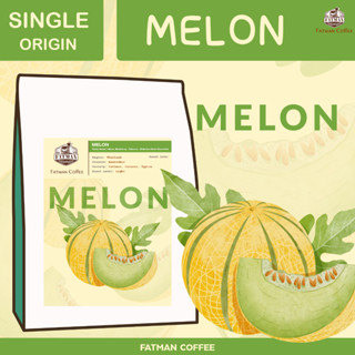 เมล็ดกาแฟ น่าน Melon Thailand