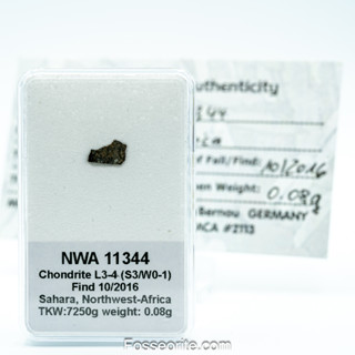 อุกกาบาต หิน NWA 11344 Chondrite L3-4 Meteorite แบบสไลซ์ พร้อมใบรับรอง จาก Germany #1 หนัก 0.08 กรัม