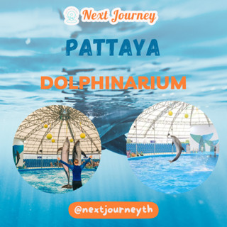 โชว์ปลาโลมา Pattaya Dolphinarium