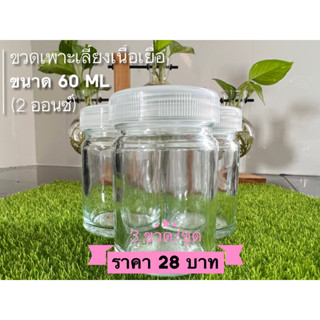 ขวดแก้วเพาะเลี้ยงเนื้อเยื่อ (Tissue culture Bottle) พร้อมฝาพลาสติกใส ขนาด 2 ออนซ์ (3ใบ/ชุด)28 บาท