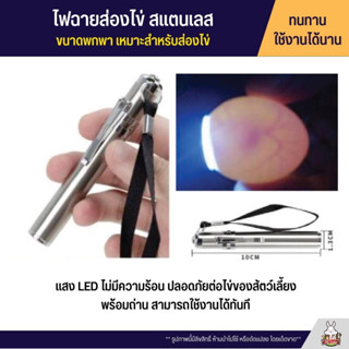 ไฟฉายส่องไข่ สแตนเลส ขนาดพกพา เหมาะสำหรับส่องไข่ แสง LED ไม่มีความร้อน ปลอดภัยต่อไข่ของสัตว์เลี้ยง