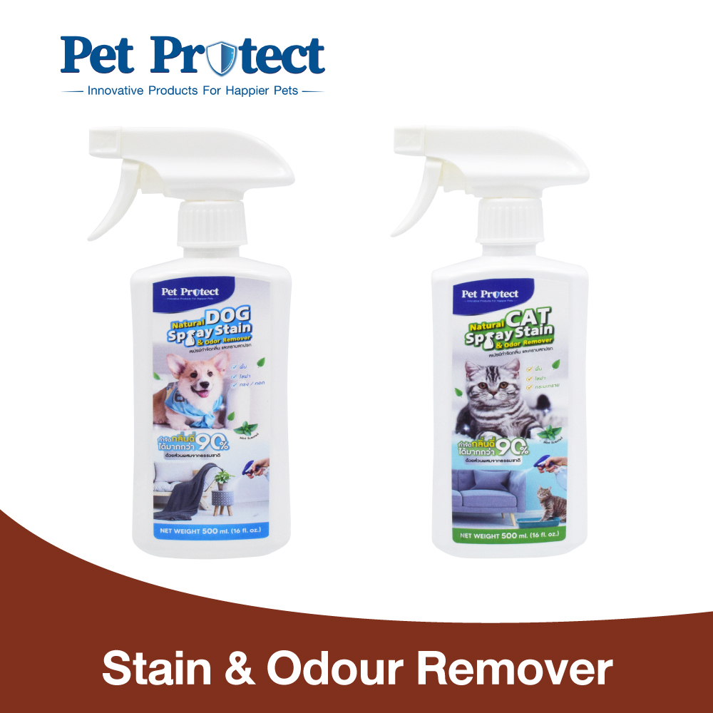 Pet Protect Stains & Odour Remover สเปรย์อเนกประสงค์ กลิ่นมิ้นท์ กำจัดกลิ่นและคราบ เช่นพื้น โซฟา ฉีดทรายแมว กรงสุนัข