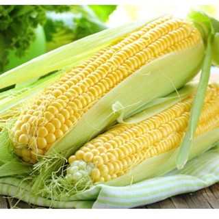 ข้าวโพดหวาน🌽ข้าวโพด🌽สดใหม่ จากไร่ 10ฝัก20ฝัก