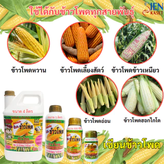 เซียนข้าวโพด 1 ลิตร แถม 500cc ฮอร์โมนข้าวโพด ฉีดพ่นทางใบ อะมิโน อาหารเสริมพืช