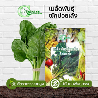 เมล็ดพันธุ์ปวยเล้ง (Spinach) Green Garden