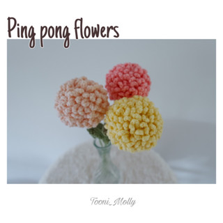 ดอกปิงปอง (Pingpong flowers)