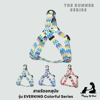 สายรัดอกสุนัขและแมว สายรัดอก ชุดรัดอกสุนัข สายรัดอกหมาใหญ่ Dog Harness EVERKING The Runner Series - Colorful 2