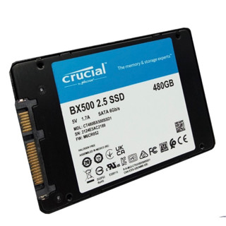 480 GB SSD SATA CRUCIAL