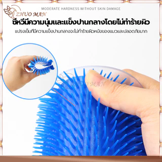 แปรงนวดขนแมว หวีขนแมว(พร้อมหญ้าชนิดหนึ่ง) ที่นวดขนน้องแมว ออกแบบแยกชิ้นเพื่อทำความสะอาดง่าย สามารถติดที่มุมหรือขาโต๊ะง่า