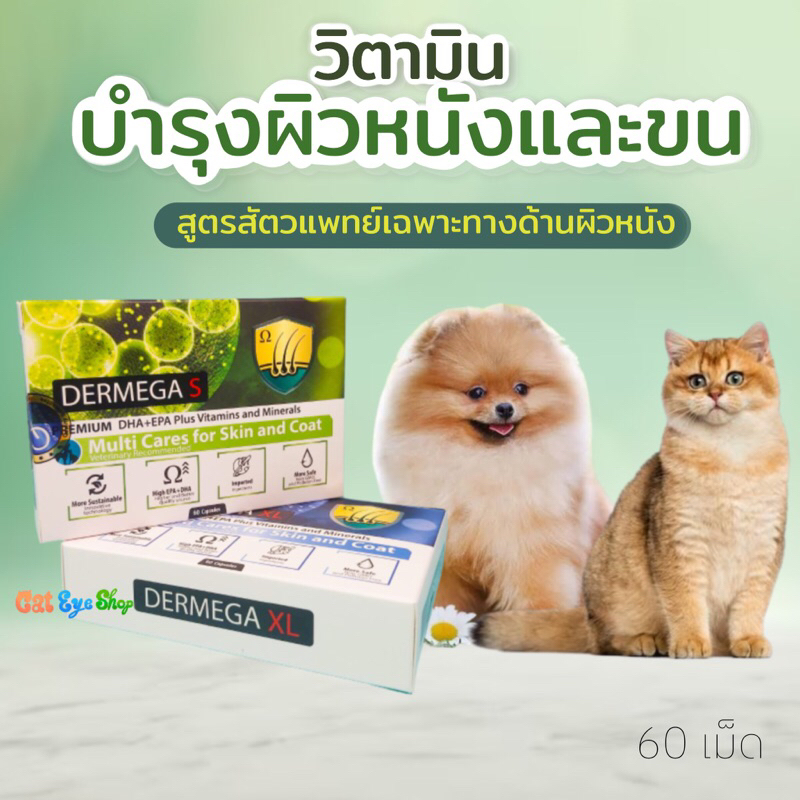 Dermega วิตามินบำรุงผิวหนังและขน สำหรับสุนัขและแมว Dermega ลดอาการคันและผื่นแพ้ ฟื้นฟูผิวหนังอักเสบ